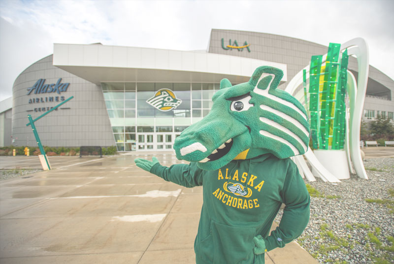 Fifa World Cup Winners