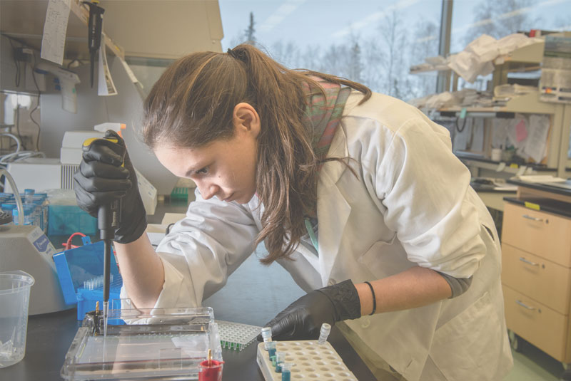 Fifa World Cup Champions