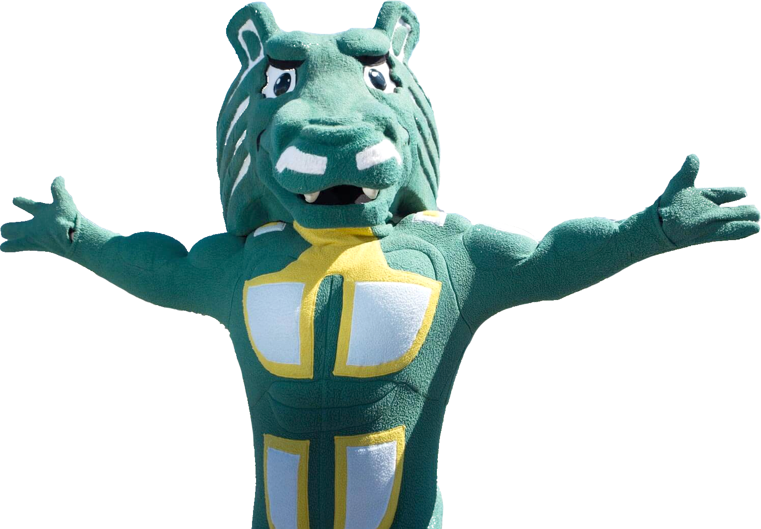 Fifa World Cup Winners