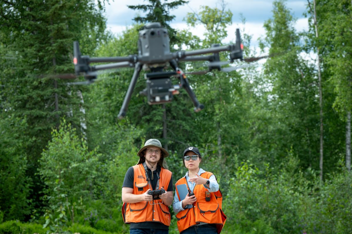 Fifa World Cup Winners